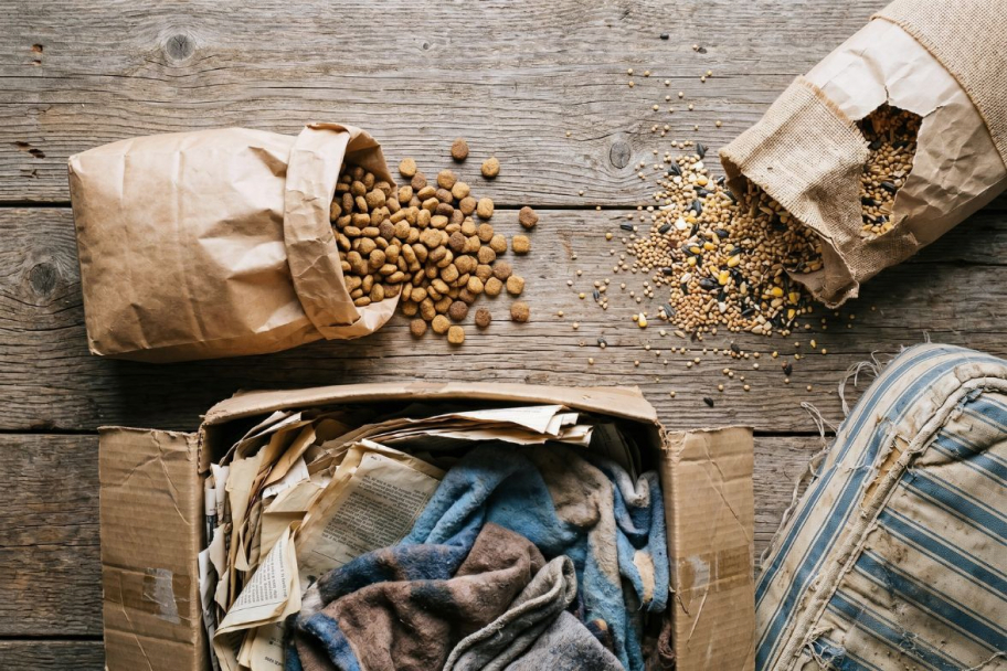 Spilled grain and seed near cardboard and fabric, common rodent attractants