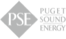 pugent sound energy icon