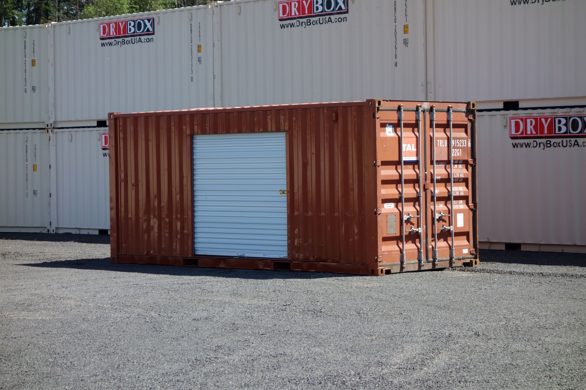 shipping container with roll up doors