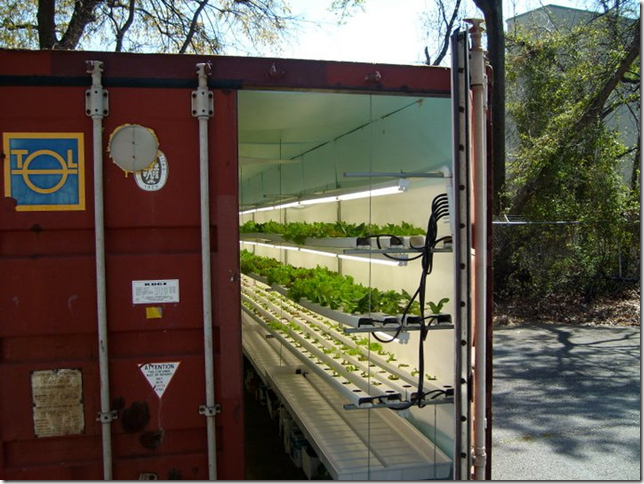 shipping-container-garden